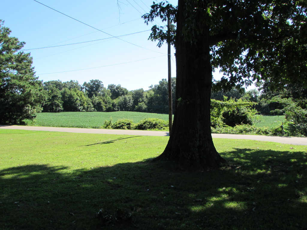 Front Farm View